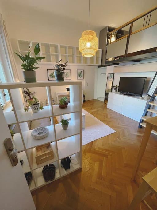Stefanka Apartment Old Town Bratislava Exterior photo